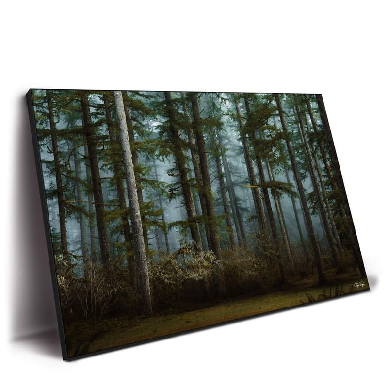 Moody Woods, retailer reference photograph